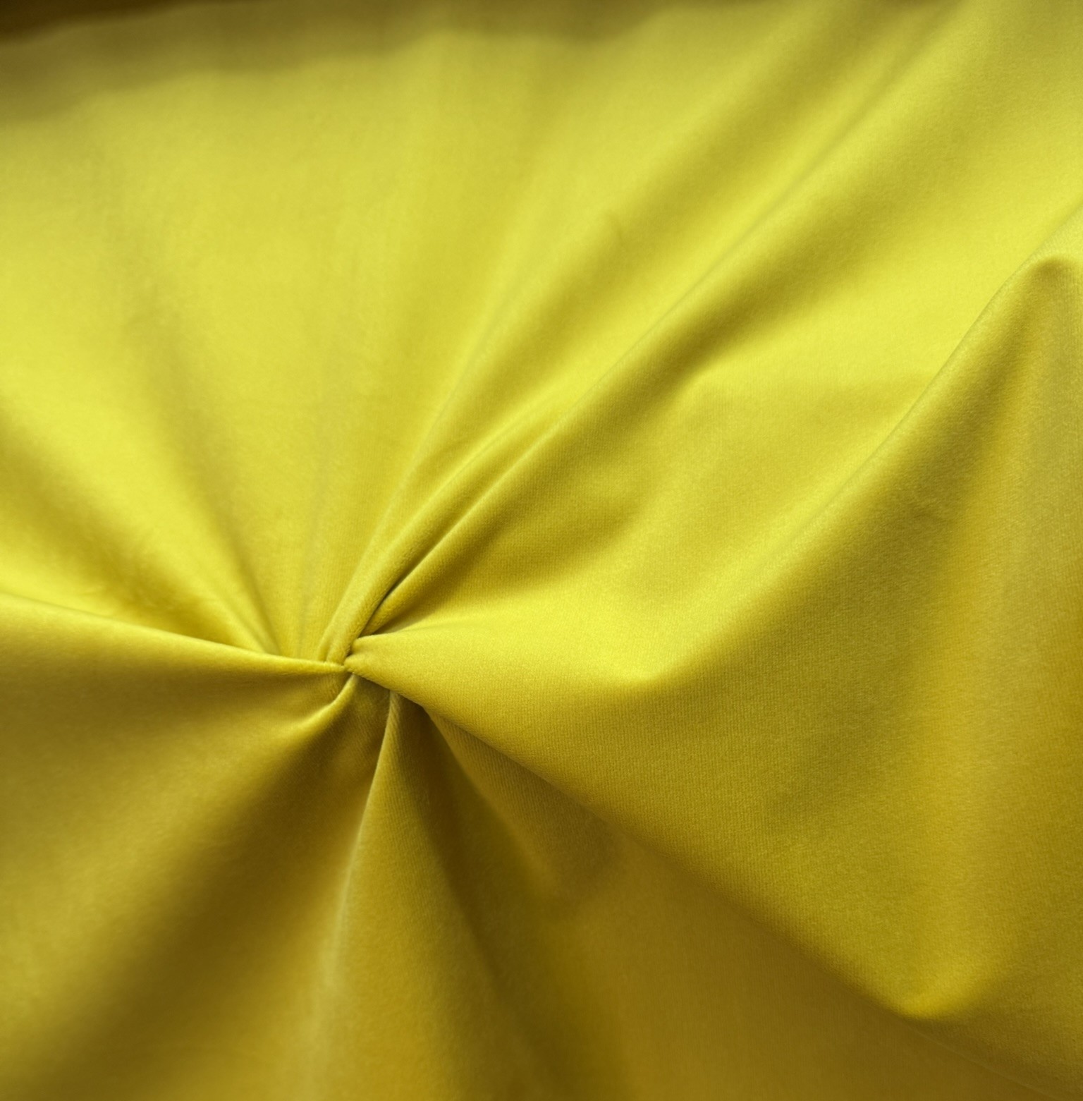 Terciopelo Sol Dorado