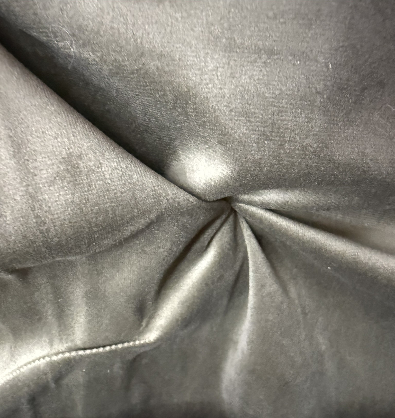 Terciopelo Gris Ceniza