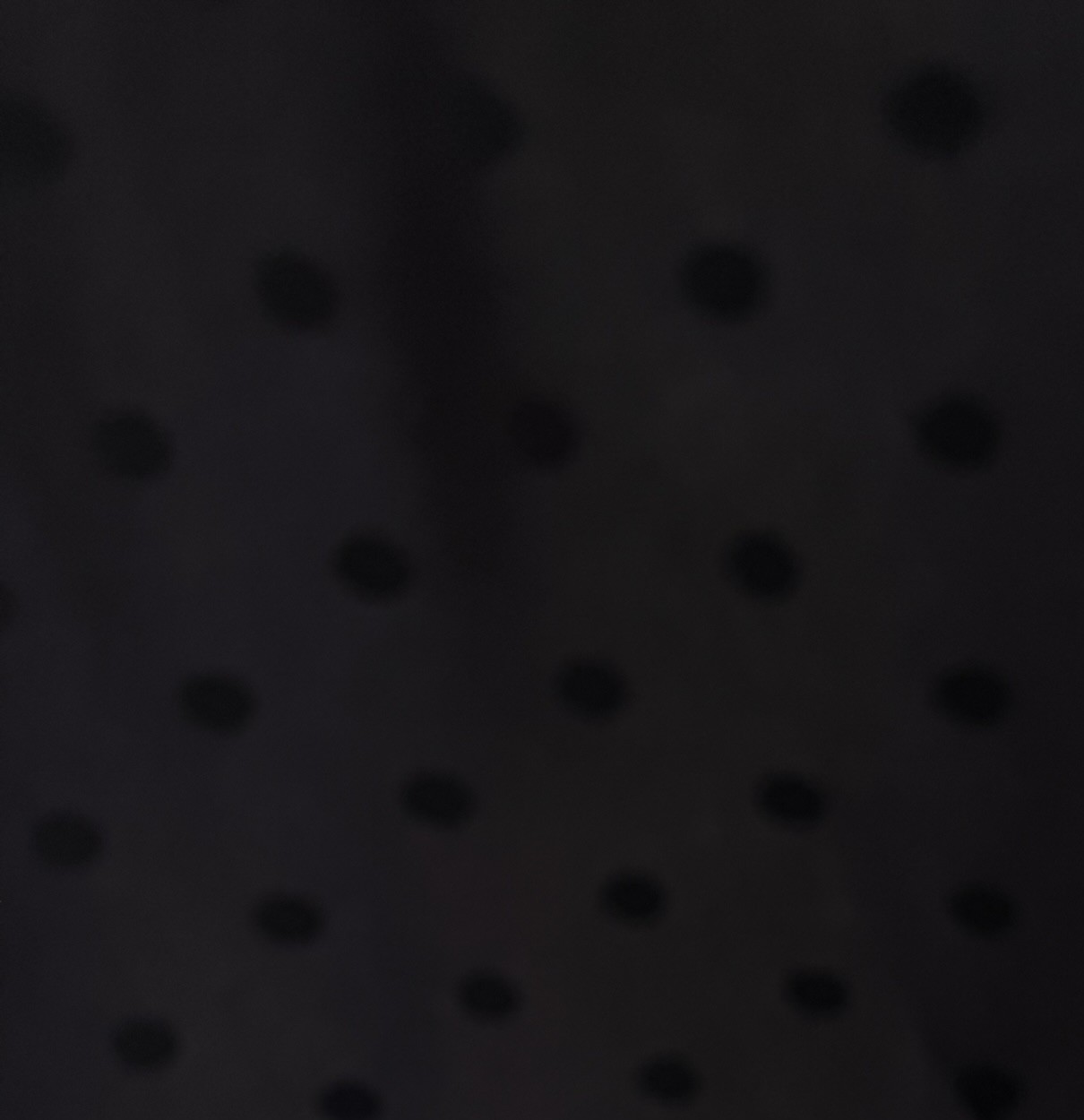 Tela de Flamenca Negro con Lunares Negro Azabache