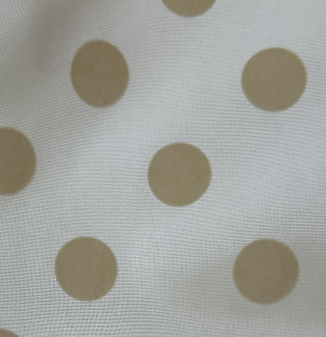 Lunar Arena Elegante