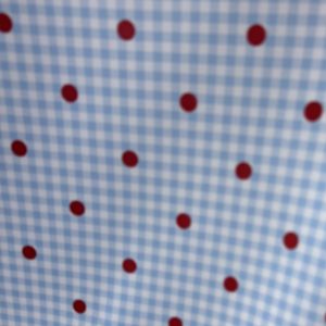 Tela de Flamenca Vichy Celeste con Lunar Rojo